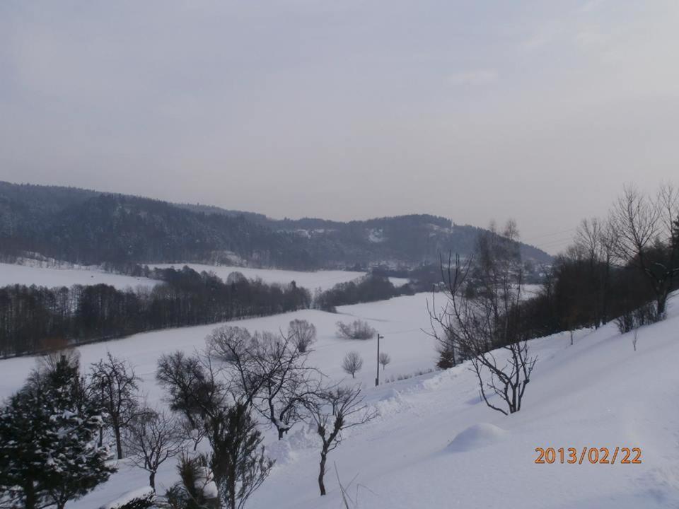Holiday home Charming House With Beautiful Landscape Frydstejn
